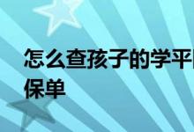 怎么查孩子的学平险保单 买了学平险怎么查保单