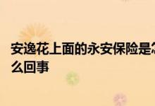 安逸花上面的永安保险是怎么回事 安逸花保险服务和担保怎么回事