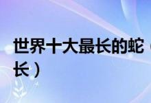 世界十大最长的蛇（蛇类身长排行榜什么蛇最长）