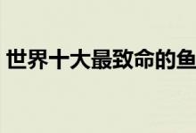 世界十大最致命的鱼类（盘点最危险的鱼类）