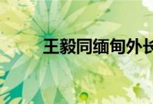 王毅同缅甸外长温纳貌伦举行会谈