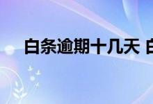 白条逾期十几天 白条逾期天数怎么算的
