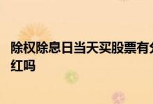 除权除息日当天买股票有分红吗 除权除息日买进的股票有分红吗