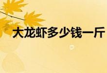 大龙虾多少钱一斤（2020最新价格行情）