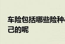 车险包括哪些险种&#32;如何选适合自己的呢