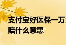 支付宝好医保一万免赔是什么意思 好医保免赔什么意思