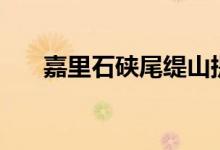  嘉里石硖尾缇山提供45伙 拟上半年推 