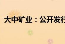 大中矿业：公开发行可转债申请获审核通过