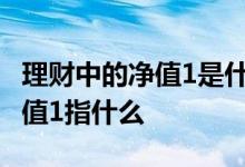 理财中的净值1是什么意思 理财产品中当前净值1指什么