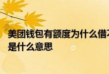 美团钱包有额度为什么借不出来 美团钱包显示大约可借额度是什么意思