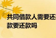 共同借款人需要还款吗 共同借款人未使用借款要还款吗