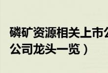磷矿资源相关上市公司有哪些（磷矿资源上市公司龙头一览）