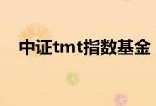 中证tmt指数基金 中证tmt指数什么意思