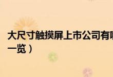 大尺寸触摸屏上市公司有哪些（2022年大尺寸触摸屏概念股一览）