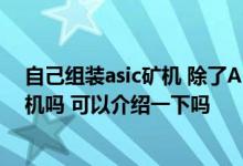 自己组装asic矿机 除了ASIC矿机以后还有其他高性能的矿机吗 可以介绍一下吗