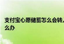 支付宝心愿储蓄怎么会转入失败 支付宝心愿储蓄转入失败怎么办