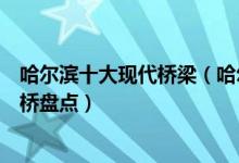 哈尔滨十大现代桥梁（哈尔滨现代桥梁有哪些哈尔滨现代大桥盘点）
