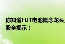 你知道HJT电池概念龙头上市公司都有哪些（HJT电池龙头股全揭示）
