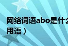 网络词语abo是什么意思（abo什么意思网络用语）