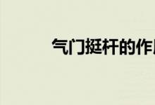  气门挺杆的作用气门挺杆的介绍 