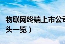 物联网终端上市公司有哪些（相关上市公司龙头一览）