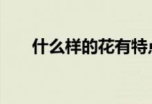什么样的花有特点 好会花有什么特点