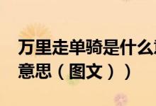 万里走单骑是什么意思?（千里走单骑是什么意思（图文））