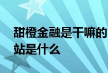 甜橙金融是干嘛的 被称为甜橙理财资金中转站是什么