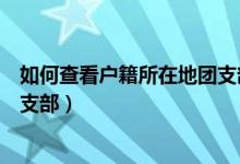 如何查看户籍所在地团支部（怎么找到自己户籍所在地的团支部）