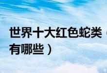 世界十大红色蛇类（常见的红色蛇红色的蛇都有哪些）