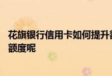 花旗银行信用卡如何提升额度 怎么样提高花旗银行信用卡的额度呢