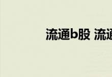 流通b股 流通b股是什么意思
