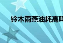 铃木雨燕油耗高吗真实车主是这样说的 