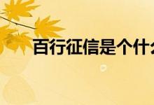 百行征信是个什么玩意 百行征信是啥
