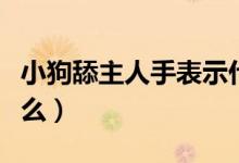 小狗舔主人手表示什么（小狗舔主人手表示什么）