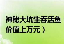 神秘大坑生吞活鱼（广西现神秘大坑吞走活鱼价值上万元）
