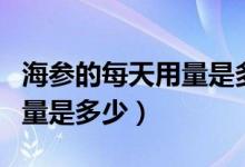 海参的每天用量是多少（海参的食用方法和用量是多少）