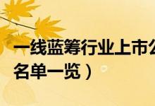 一线蓝筹行业上市公司有哪些（一线蓝筹股票名单一览）