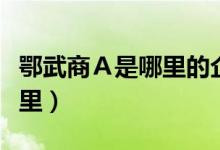 鄂武商Ａ是哪里的企业（鄂武商Ａ所在地是哪里）