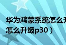 华为鸿蒙系统怎么升级后没用（华为鸿蒙系统怎么升级p30）
