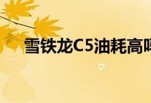  雪铁龙C5油耗高吗真实车主是这样说的 
