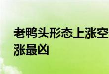 老鸭头形态上涨空间 什么样的老鸭头形态上涨最凶