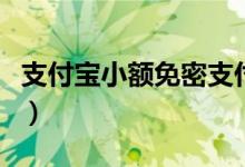 支付宝小额免密支付在哪里（支付宝小额贷款）