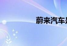 蔚来汽车是哪个国家的 