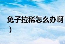 兔子拉稀怎么办啊（兔子拉稀怎么办（图文））