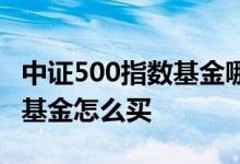 中证500指数基金哪款值得定投 中证500指数基金怎么买