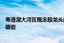 粤港澳大湾区概念股龙头股票一览粤港澳大湾区上市公司有哪些