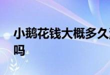小鹅花钱大概多久涨额度 小鹅花钱会涨额度吗