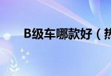 B级车哪款好（热门中型车车型推荐）