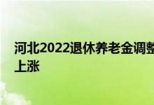 河北2022退休养老金调整方案出来吗 哪些人养老金定额会上涨 